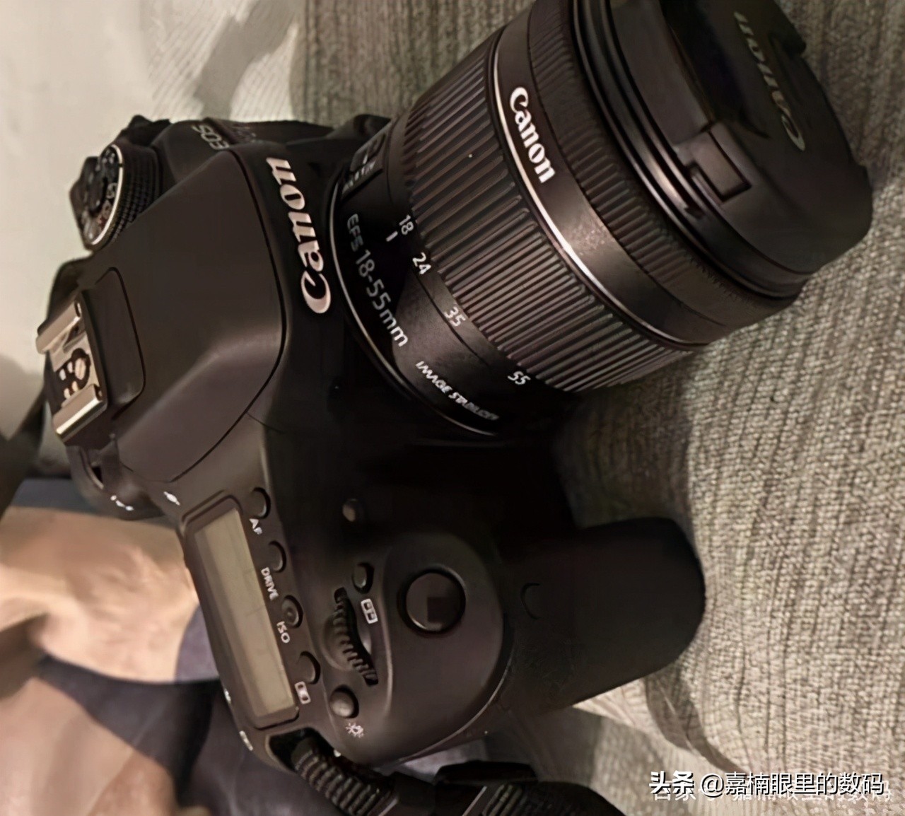 新手入门佳能哪一款相机比较好,佳能哪款相机推荐入手