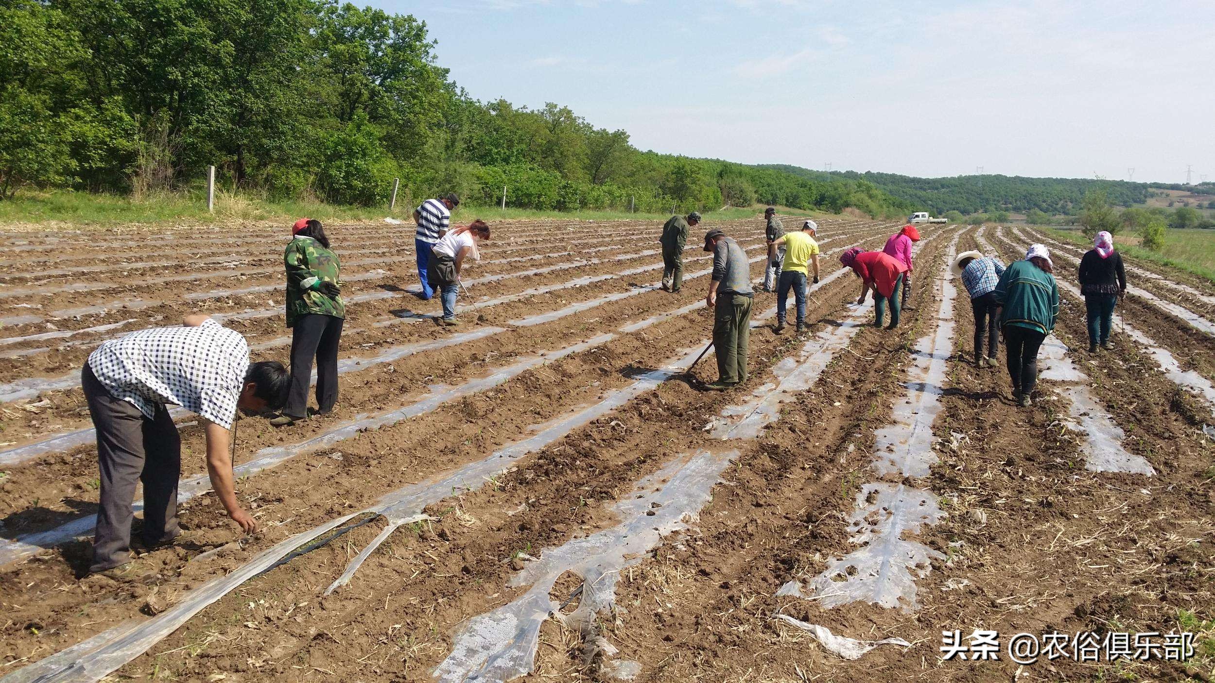 农村俗语：脚板下无空，是个老长工！平板脚真的不好么？