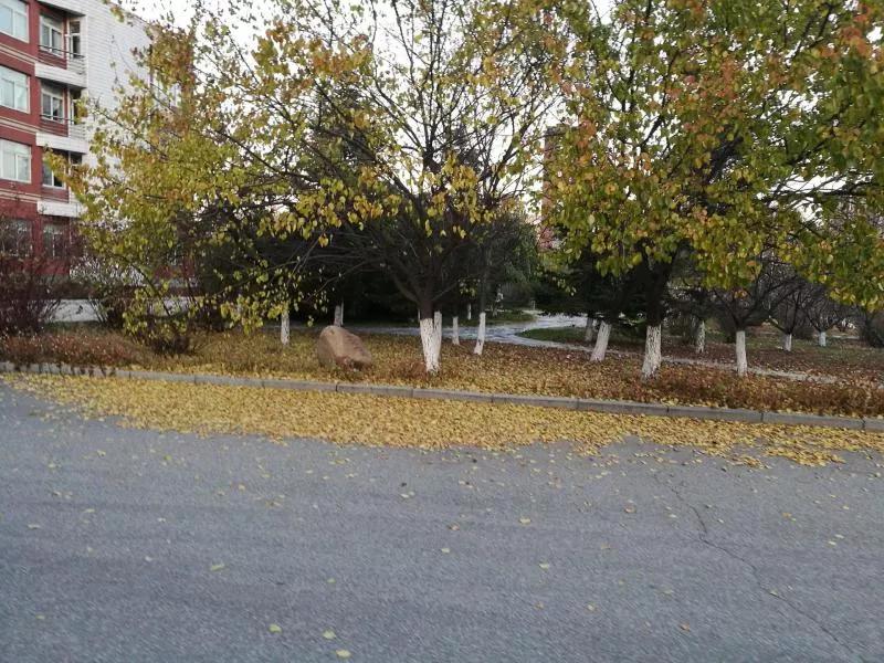 抚顺市第二中学地址,辽宁高级中学