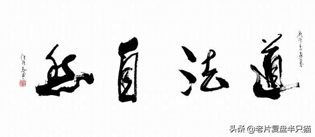 超体跟寡姐有关系吗,超体是寡姐演的吗