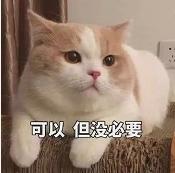 范玮琪摔跤反被疑怀孕，下巴皮开肉绽缝15针，还被骂炒作现世报