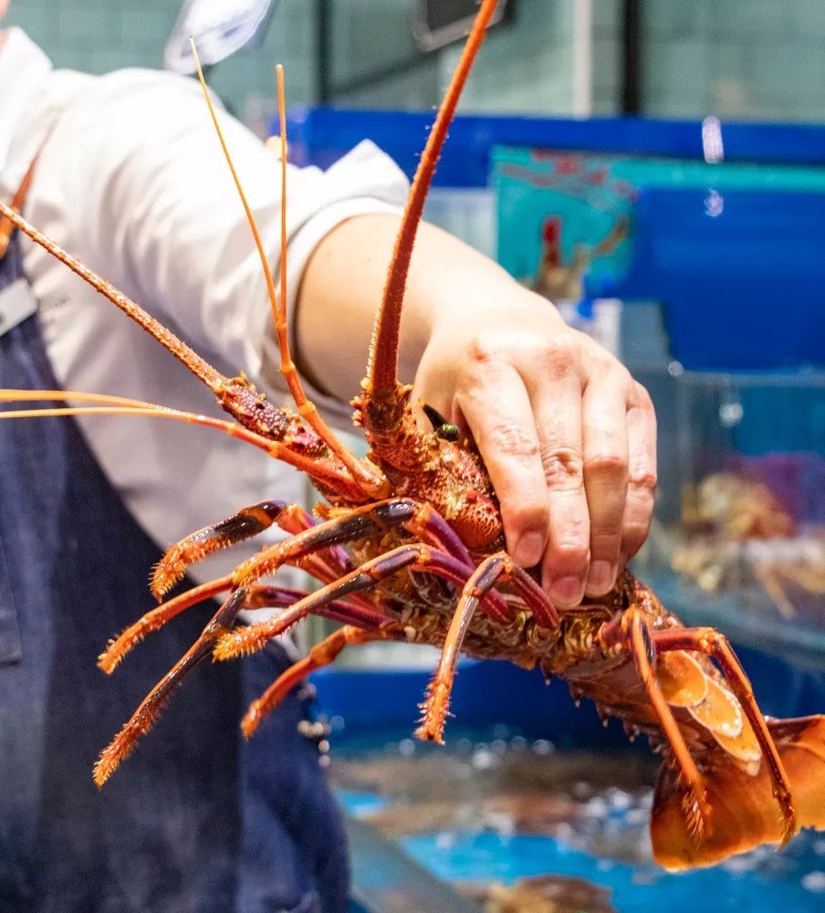 千万别带女朋友来泉州这家超市，她可能会赖着不肯走……