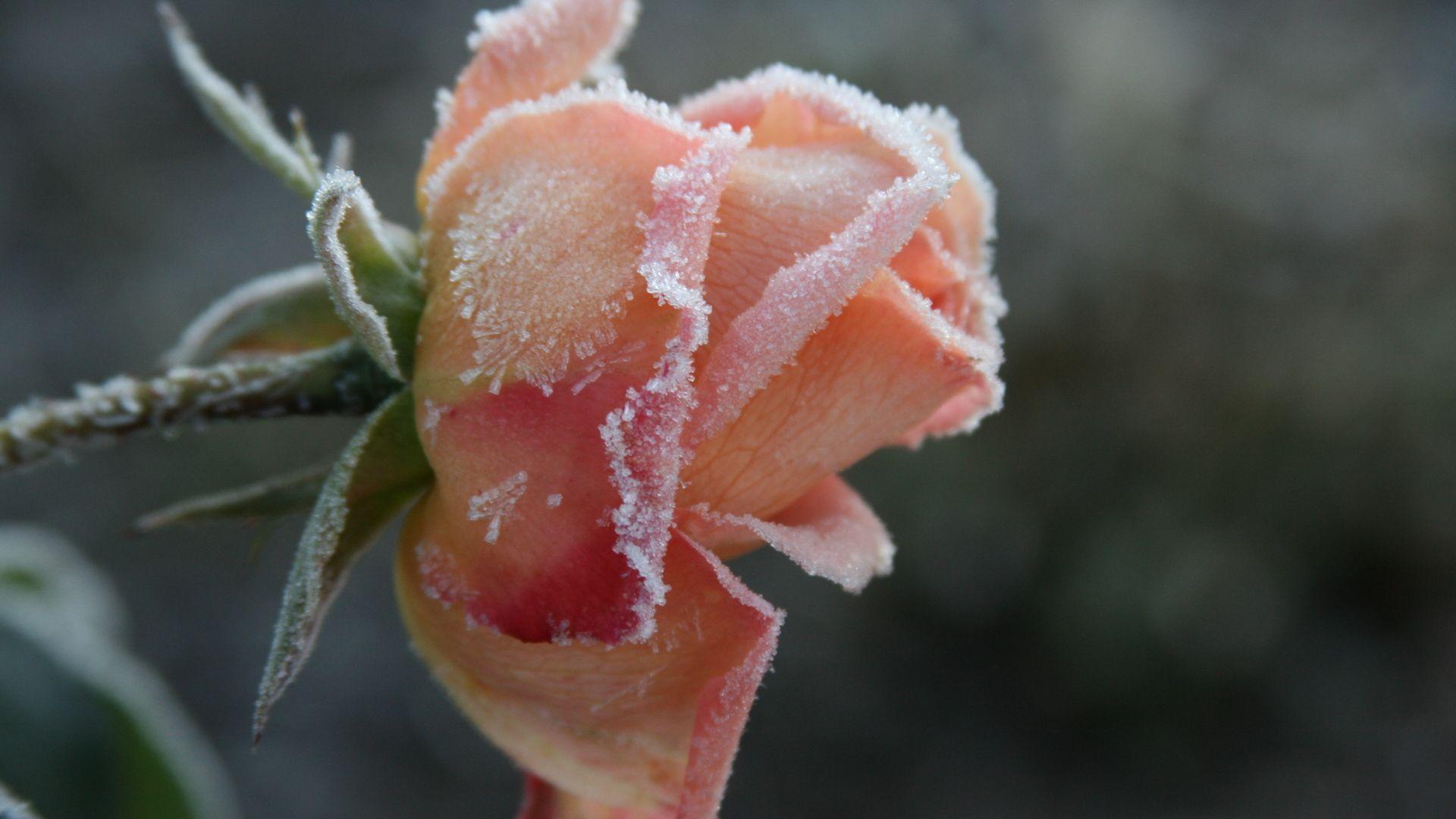 世上本无事庸人自扰之的唐诗,这三首唐诗写尽了人生的变幻