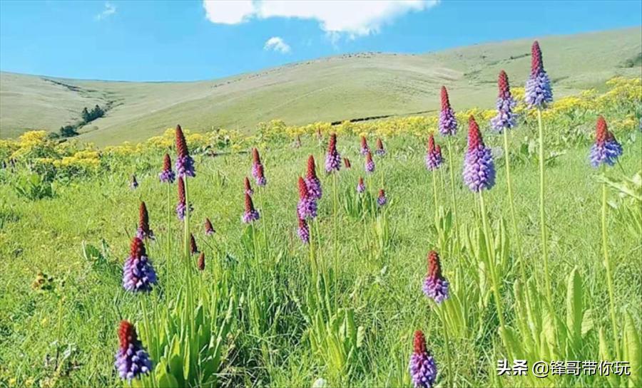 木里至亚丁自驾路线及路况,木里到亚丁自驾游最佳路线