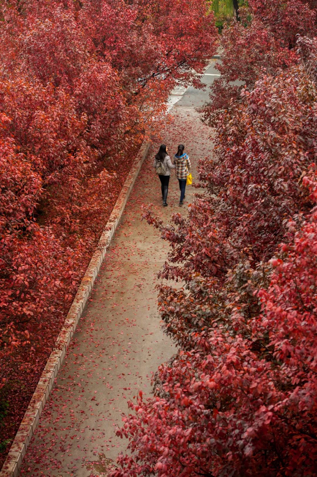 烟台哪里的消费最高,盘点什么烟台最贵