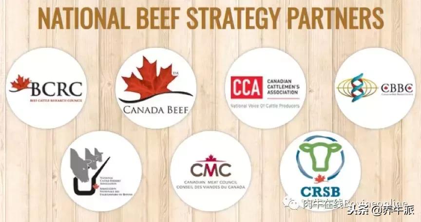 加拿大肉牛产业发展动态,加拿大肉牛发展