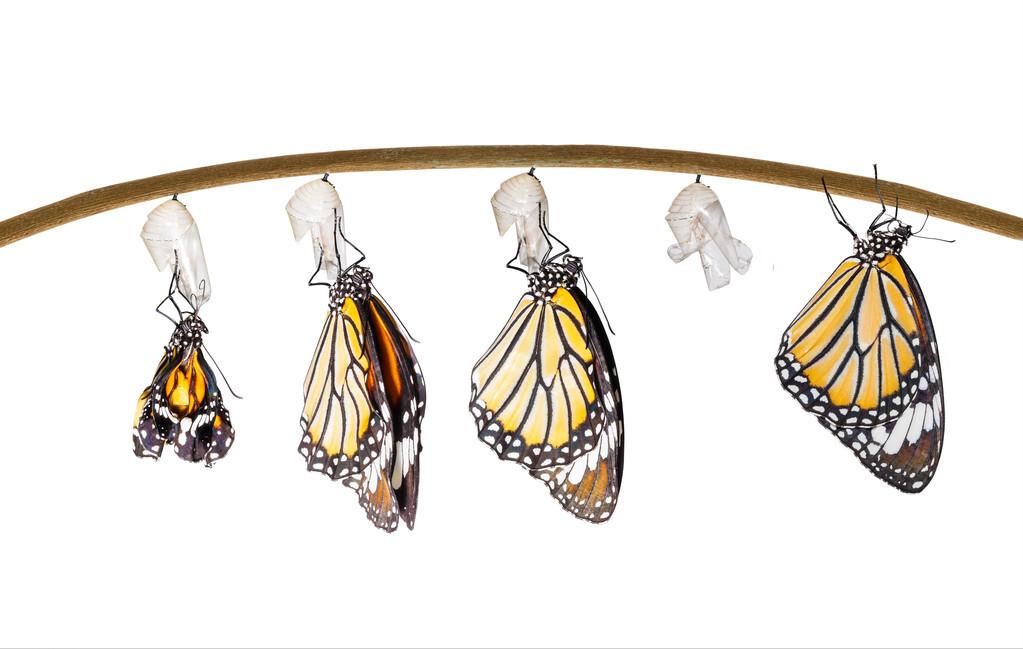 如何才能彻底改变自己变？请做到以下4点