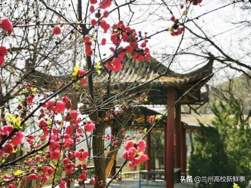 兰州理工大学简介,兰州理工大学百科