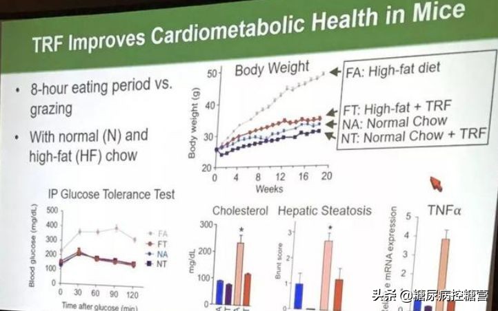 轻断食不仅仅是逆转糖尿病,轻断食对糖尿病的作用