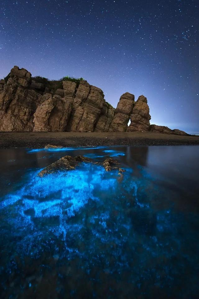 突然就想去旅游了,忽然间就想去厦门了