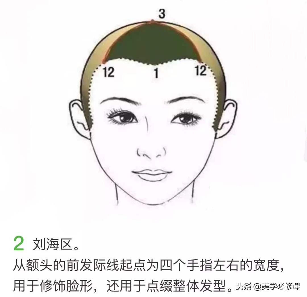 美发基础知识点线面分区手法,美发教学基本功头发分区