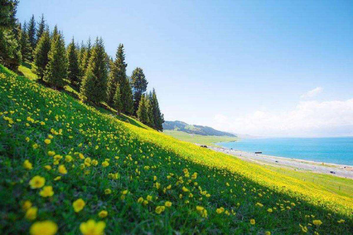 寻不到楼兰，便去西边看一场落日