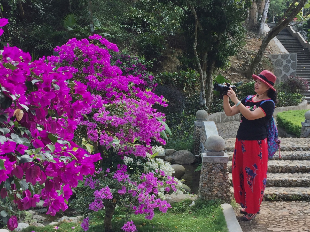 海南候鸟旅行,内陆候鸟自驾海南过冬