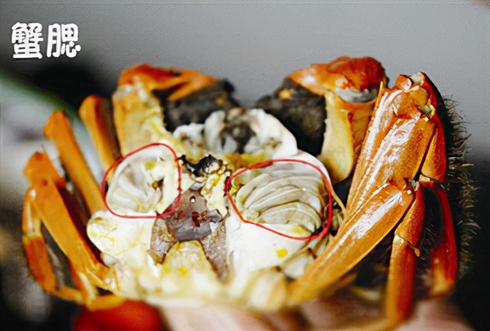 爱吃蟹膏的人一定要吃,爱吃海鲜的同胞警惕