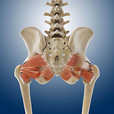 产后修复追奶汤,下奶汤催奶宝有用吗