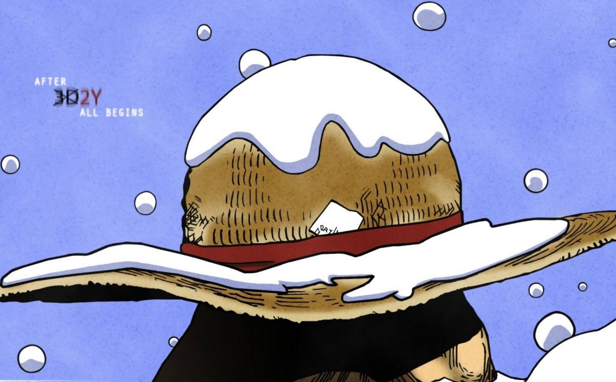 海贼王最让人羡慕的角色,海贼王最让人着迷的东西