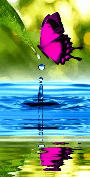 这是我见过最美丽的风景用英语,这是我见过最美的风景啥意思