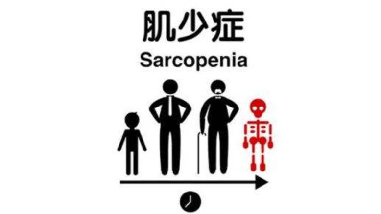 为什么女性更年期会消瘦,更年期为什么坚持锻炼还是要长胖