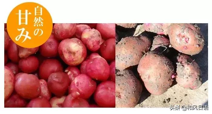 在日本买可乐饼,日本的可乐饼多少钱