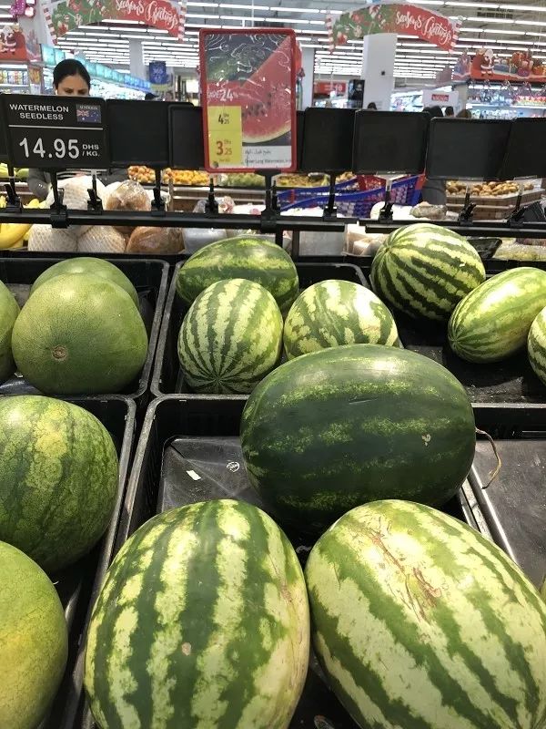 迪拜生活真实工资,在迪拜怎么降低生活成本