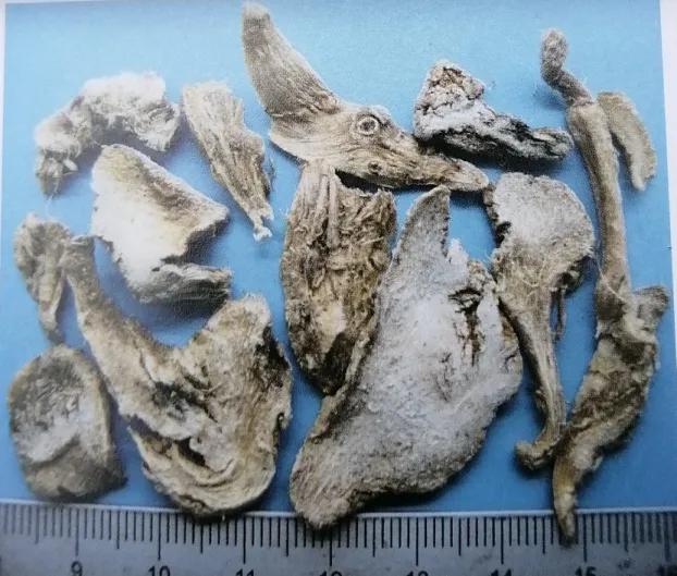 止血收敛的药有哪些,收敛止血中成药有哪些