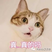 成都北二外和北二外附中怎么样,成都北二外评价