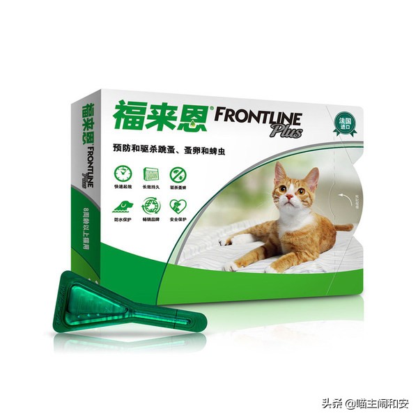 猫咪体外驱虫虫子死掉还是驱赶走,猫咪驱虫新手入门教程