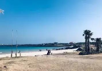 济州岛小清新旅游攻略,济州岛冬日街景