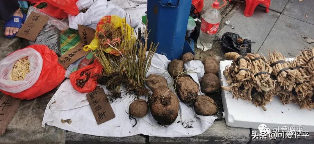 记住乡愁容县篇,记住乡愁视频美食