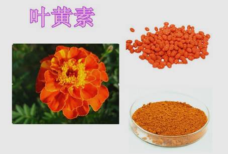 视力越来越差怎么缓解眼部疲劳,视力容易疲劳怎么办