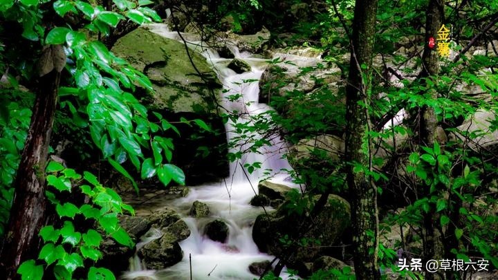 不输黄山迎客松的迎客松,不输黄山的景点