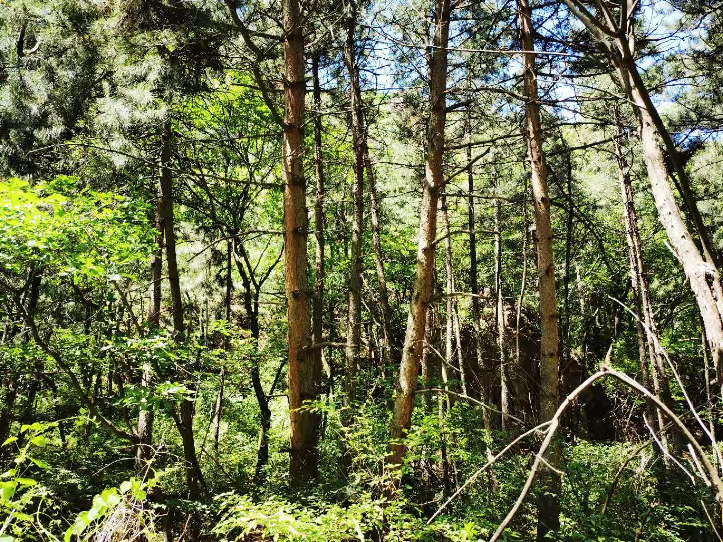 打卡北京双龙峡风景区，十里溪流百潭瀑布，北方小九寨名不虚传