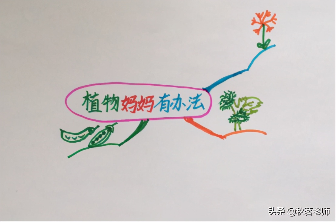 二年级植物妈妈有办法的思维导图,植物妈妈有办法课文思维导图