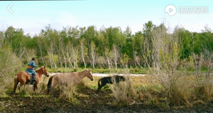 乌珠穆沁的孩子电影在线观看,乌珠穆沁的孩子怎么样