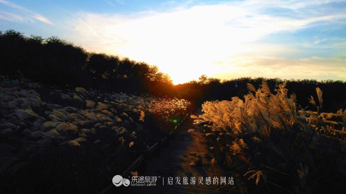 东土大唐取经路,东土大唐一条街