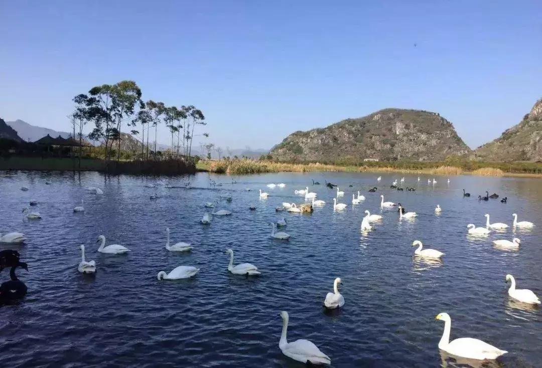 人间瑶池普者黑,丽江至普者黑自驾