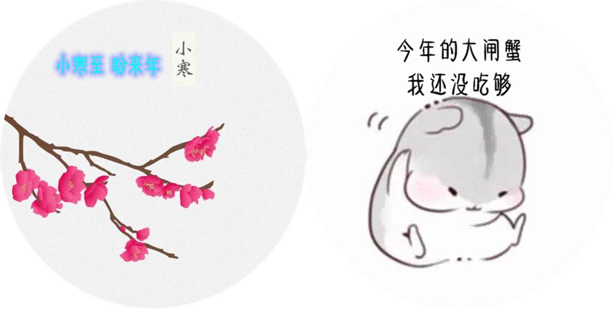 阳澄湖大闸蟹什么时间吃最合适,阳澄湖大闸蟹啥时候吃最好