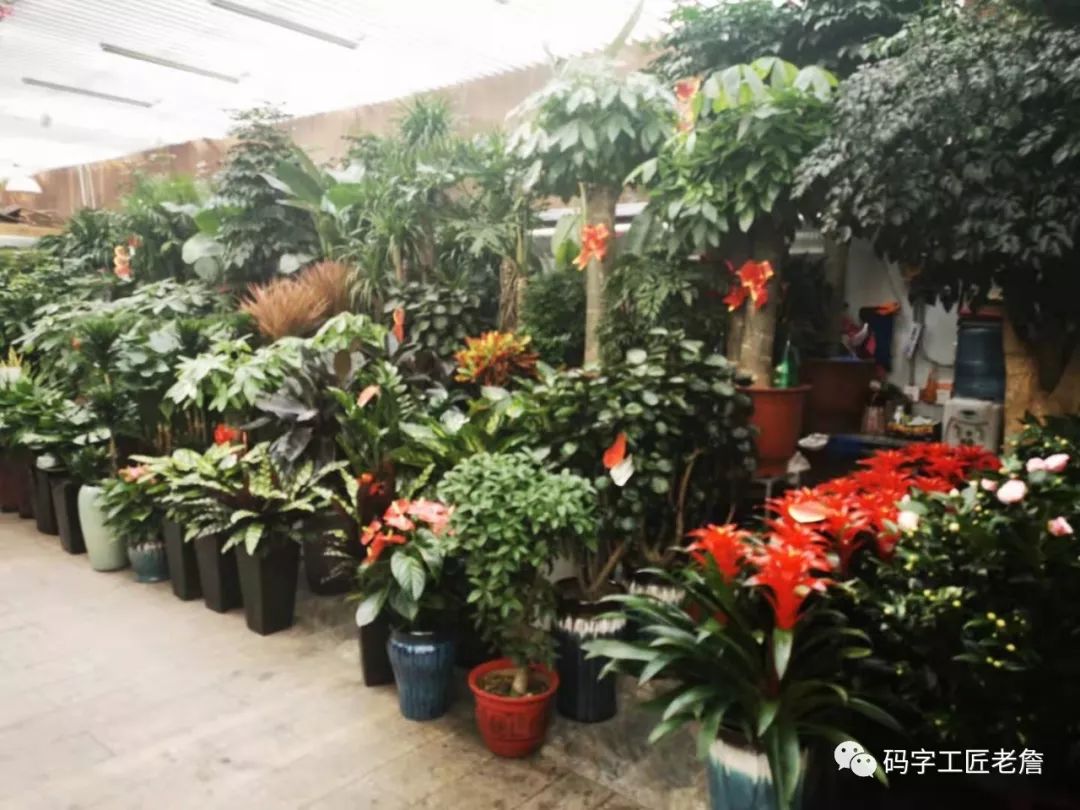 北京新发地花卉创意园,北京城南创意花卉园