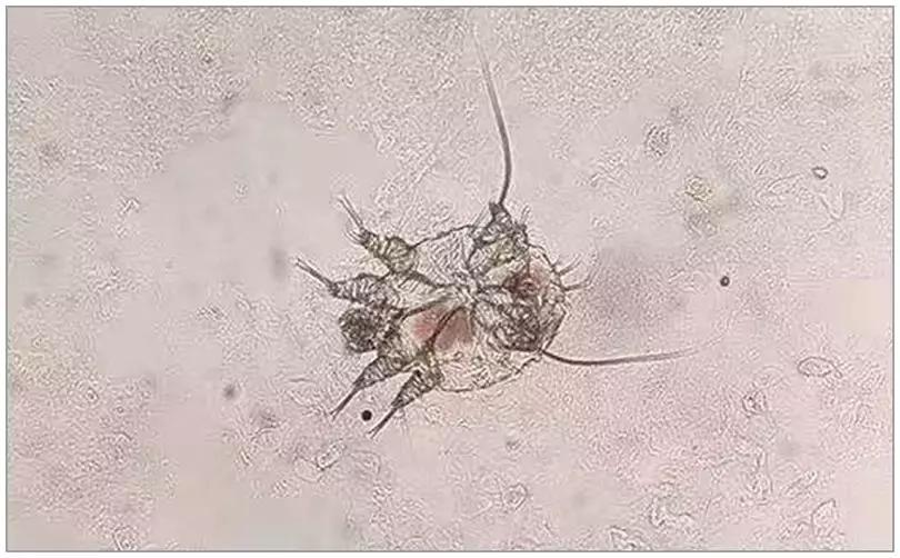 郑州大学科研最新成果,郑州大学进步神速