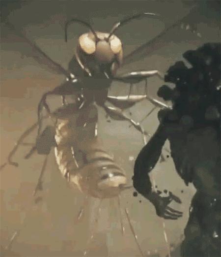 杀人蜂为什么那么可怕,杀人蜂到底有多厉害