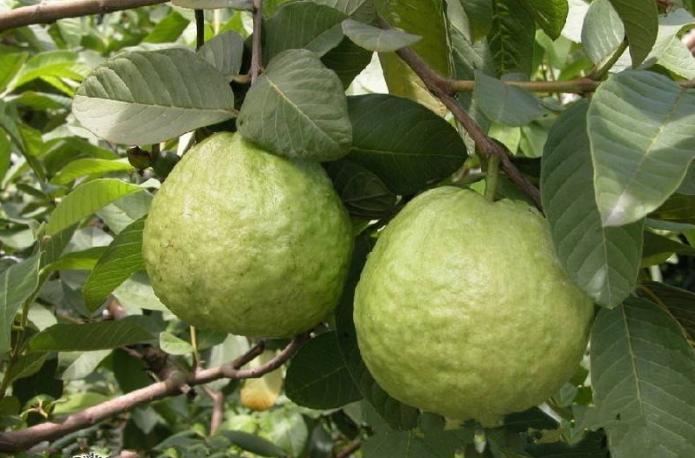 空中温泉酒店一日游,空中冰泉