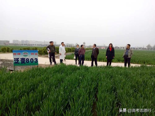 冷门的农林类大学，薪资待遇比不过热门行业，但就业还不错