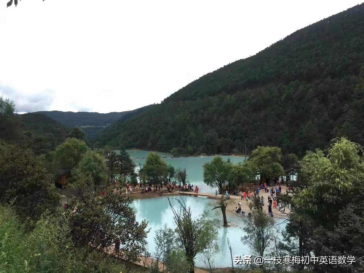 初中英语语法动词的分类,初中英语语法动词的时态和语态