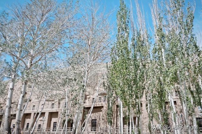 大西北六天五晚攻略,六天五晚的大西北旅行