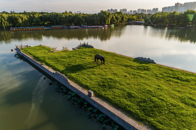 旅游攻略大明宫国家遗址公园,大明宫国家遗址公园游玩感受