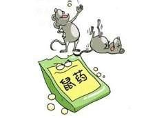 灭鼠最快方法,怎样才能灭鼠啊