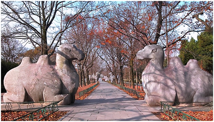 南京钟山风景名胜区门票,南京钟山风景名胜区怎么去玩