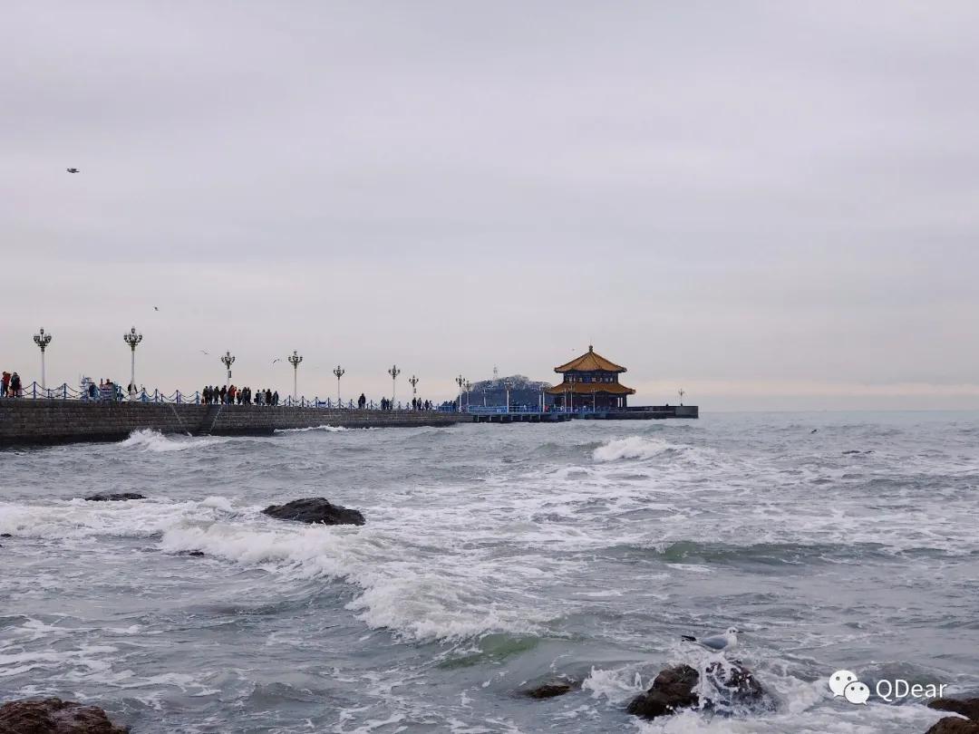 青岛最适宜旅游的景点有几个,青岛过年免费旅游景点