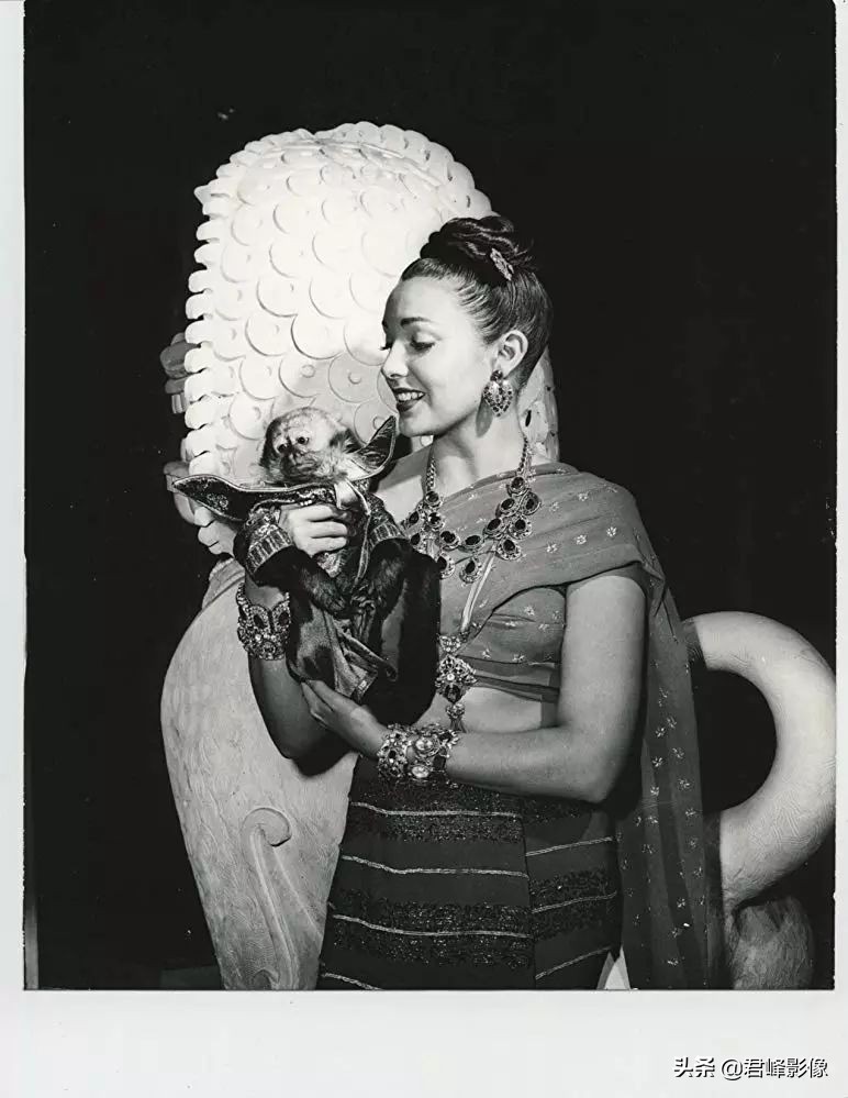 奥斯卡最佳摄影和最佳影片区别,2022奥斯卡最佳摄影影片