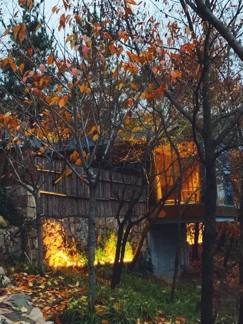 冬季的第一份温暖,山东温泉推荐